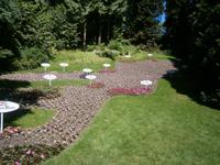 Der Bodensee mit seinen wichtigsten Orten in Form von Blumen gestaltet