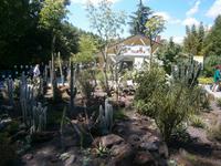 Schön gestaltetes Rundbeet