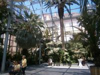 Im Palmenhaus