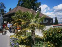 Gestaltung des Aus-sowie Eingangsbereichs