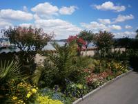 Grünpflanzen und Blumengestaltung in der Nähe des Hafens