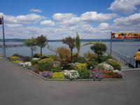 Eine Augenweide am Hafen