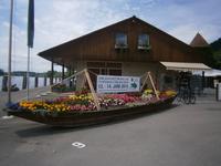 Am Rheinhafen von Stein