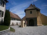 Auf der Insel Reichenau