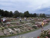 Blick auf das Rosenfeld