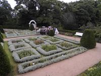 der Rosengarten in Brandenburg - erste Flor schon vorbei
