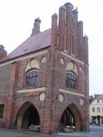 auch das historische Rathaus wird belagert - Störche überall