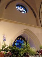 blau - als dominierende Farbe