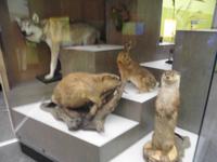 ihre Zeit ist lange vorbei