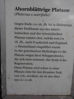 bezieht sich auf das vorherige Foto