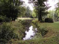 der Karpfenteich im engl. Garten