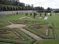 Barockanlage mit Lindenallee