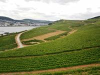 Rüdesheim, unterwegs mit der Seilbahn