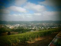 Trier, Blick vom Petrisberg