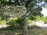 IMG_4417 Gartenkunst