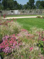 IMG_4462 Packhofgelände