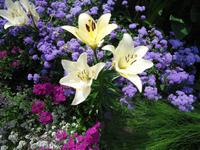 13_Mainau_Impressionen_9