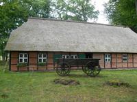 Kutschfahrt durch die Lüneburger Heide (Aufenthalt im Heidedorf Wilsede)