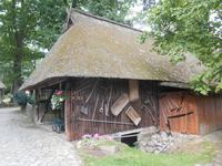 Kutschfahrt durch die Lüneburger Heide (Aufenthalt im Heidedorf Wilsede)