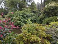 Weltvogelpark Walsrode