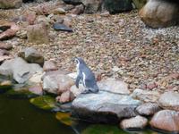 Weltvogelpark Walsrode