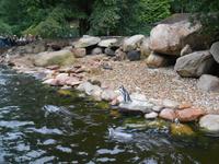 Weltvogelpark Walsrode