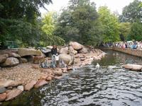 Weltvogelpark Walsrode (Fütterung der Pinguine)
