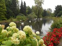 Weltvogelpark Walsrode
