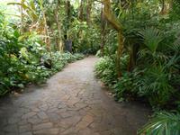 Weltvogelpark Walsrode (Regenwaldhalle)