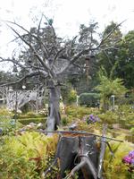 Iserhatsche (Glockenbaum)