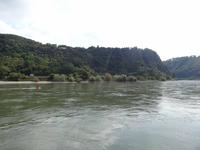 der berühmte Loreley-Felsen