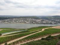 Blick vom Niederwalddenkmal