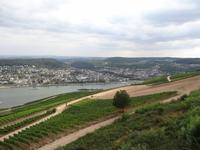 Blick vom Niederwalddenkmal