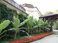 am Eingang zur Trinkhalle