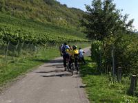 Saale Unstrut Radweg