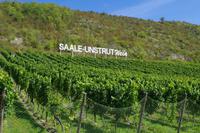 Saale Unstrut Radweg