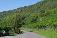 Saale Unstrut Radweg