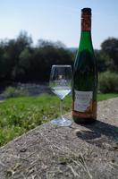 Weinpause am Saae Unstrut Radweg