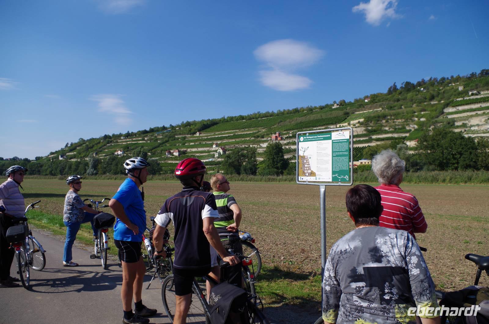 entlang des Unstrut-Radweges