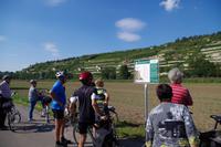 entlang des Unstrut-Radweges