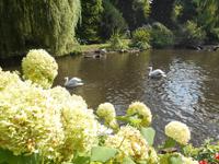 Weltvogelpark Walsrode (bei den Pelikanen...)