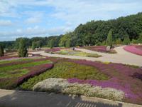 Landschaftsschutzgebiet Höpen (Heidegarten)
