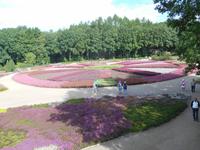 Landschaftsschutzgebiet Höpen (Heidegarten)