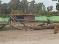 Serengeti-Park Hodenhagen (Serengeti-Bustour)