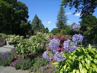 9_Mainau_Impressionen_5