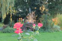 108 im Hotelgarten