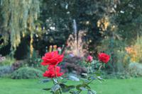 109 im Hotelgarten