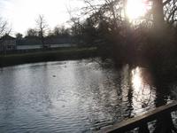 Schlosspark Bückeburg