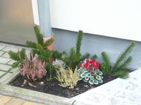 Winterimpression Stralsund