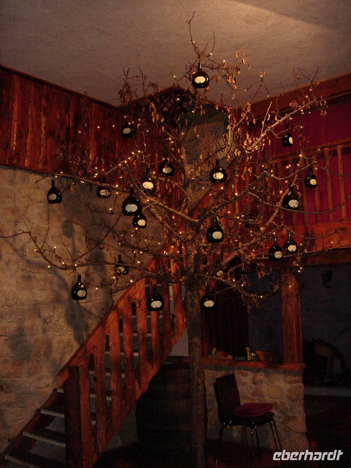 Bocksbeutelbaum auf dem musikalischen Weingut Runge